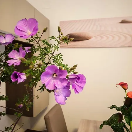 Longinvm Domvs Romanvm Holiday home *
